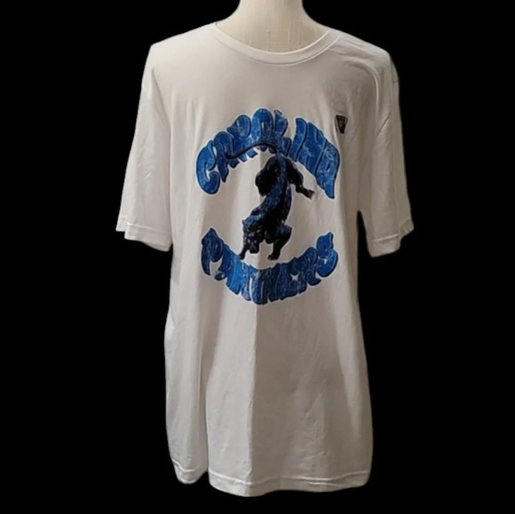 NWT NFL Carolina Panther Tee - Picture 1 of 4